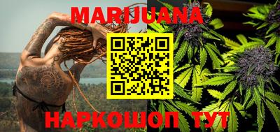 стаф Лесной